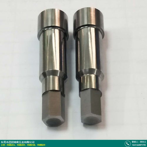 溫州鎢鋼沖針 浩鐸精密五金 廠商 產品定制嘛