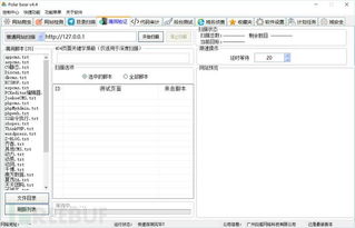 北極熊掃描器4.4企業(yè)版 網(wǎng)絡(luò)與信息安全軟件的創(chuàng)新突破